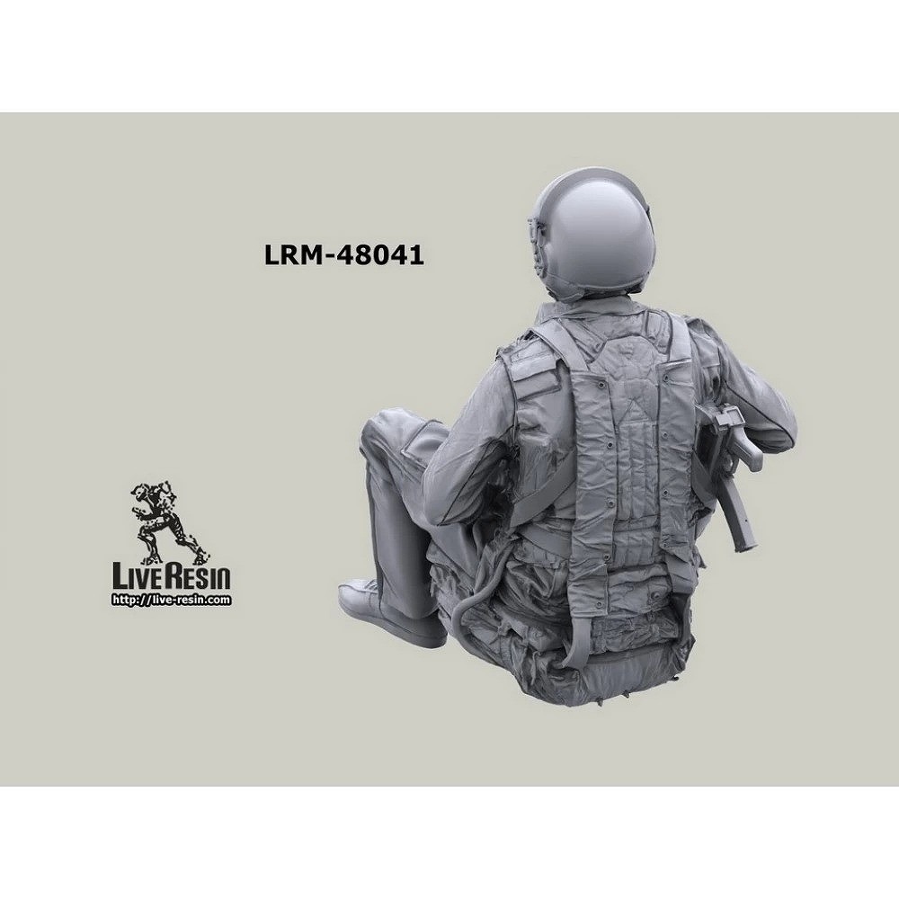 LRM-48041 ���� ������ �إꥳ�ץ����ѥ����å� ���ե������� 10