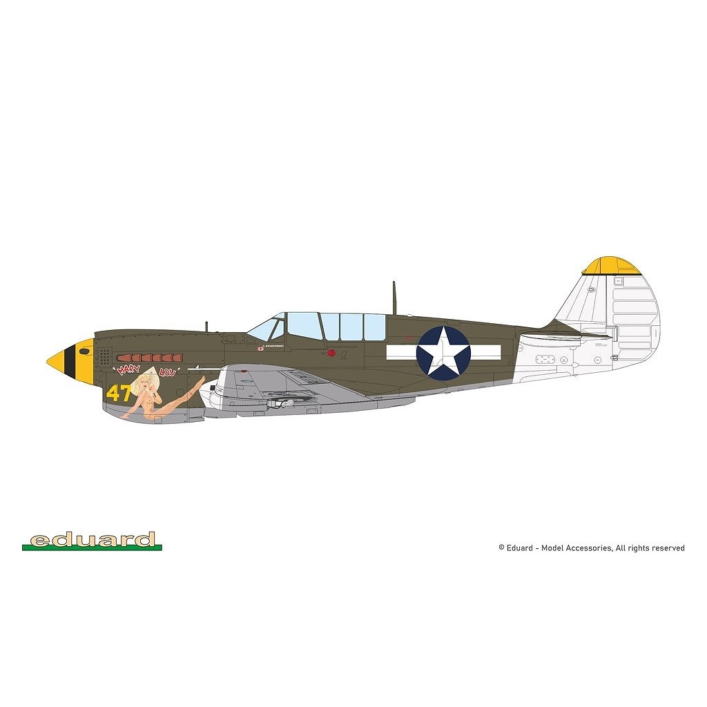 84210 1/48 P-40N �������ۡ��� ������������ɥ��ǥ������