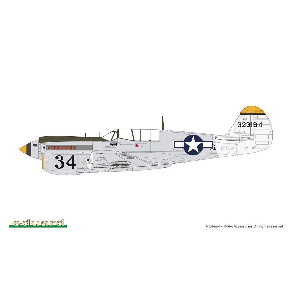 救国の英雄　pr+ 再入荷】84210 1/48 P-40N ウォーホーク ウィークエンドエディション
