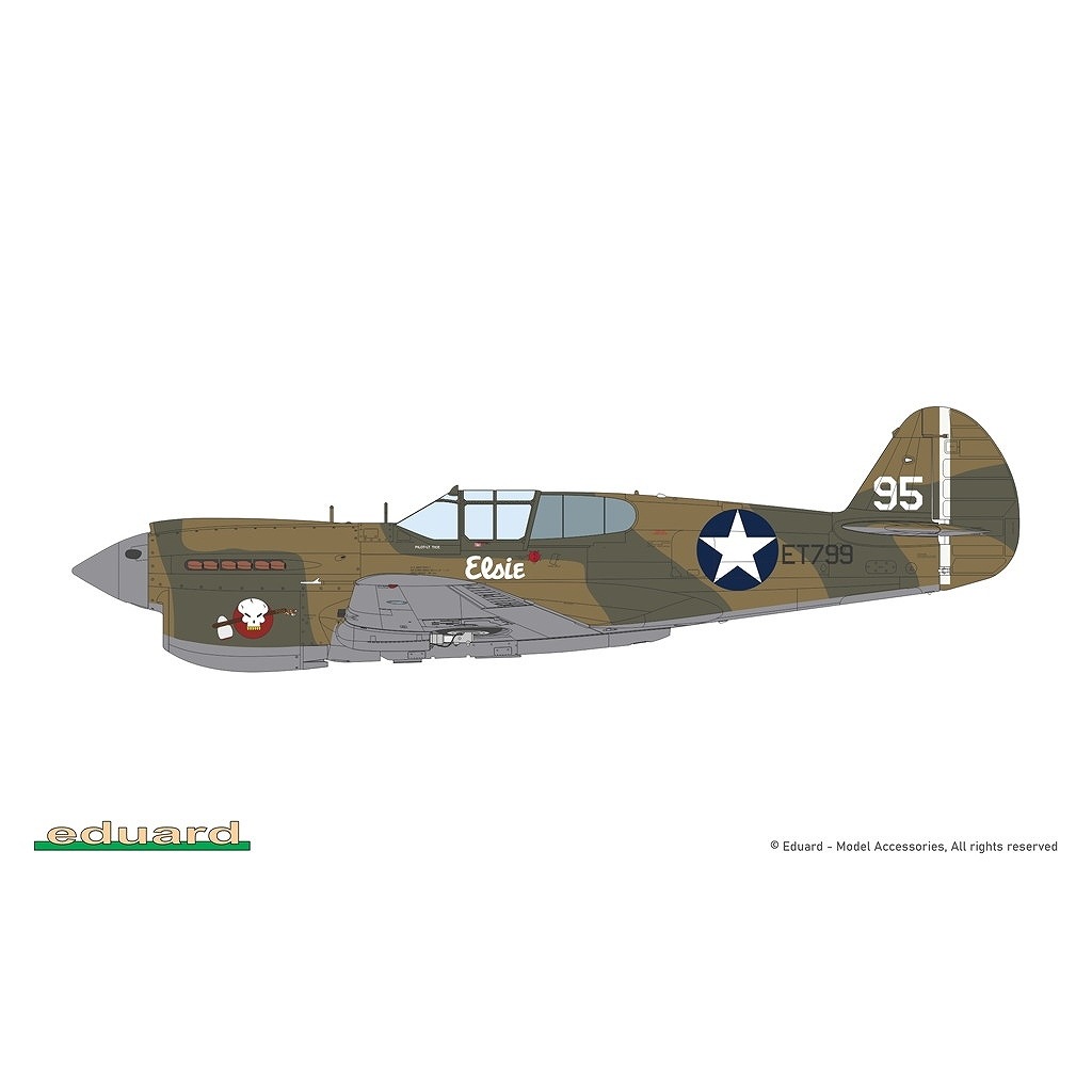 82241 1/48 カーチス P-40E ウォーホーク プロフィパック