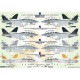 61-7165 1/72 ����ꥫ���� F-14B �ȥ७��å� ���쥯����� #7 VF-32 �������������