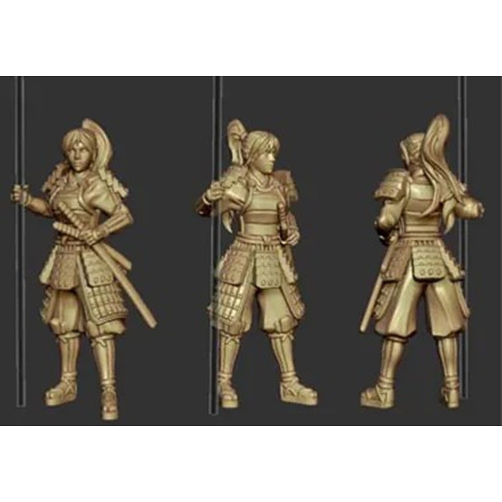 �ڿ����ʡ�AH88019 Mr & Mrs History 1/72 ������(����) ɱ��