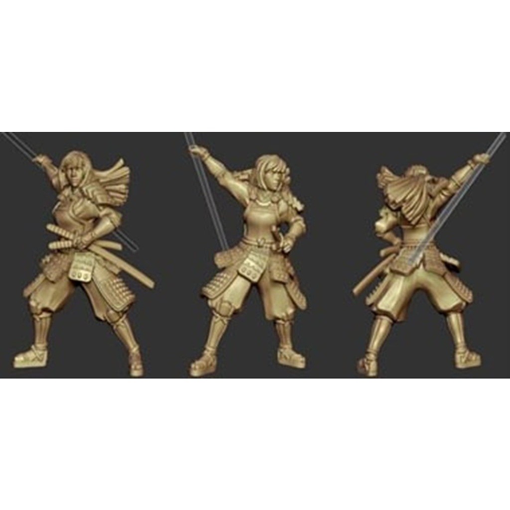 �ڿ����ʡ�AH88019 Mr & Mrs History 1/72 ������(����) ɱ��