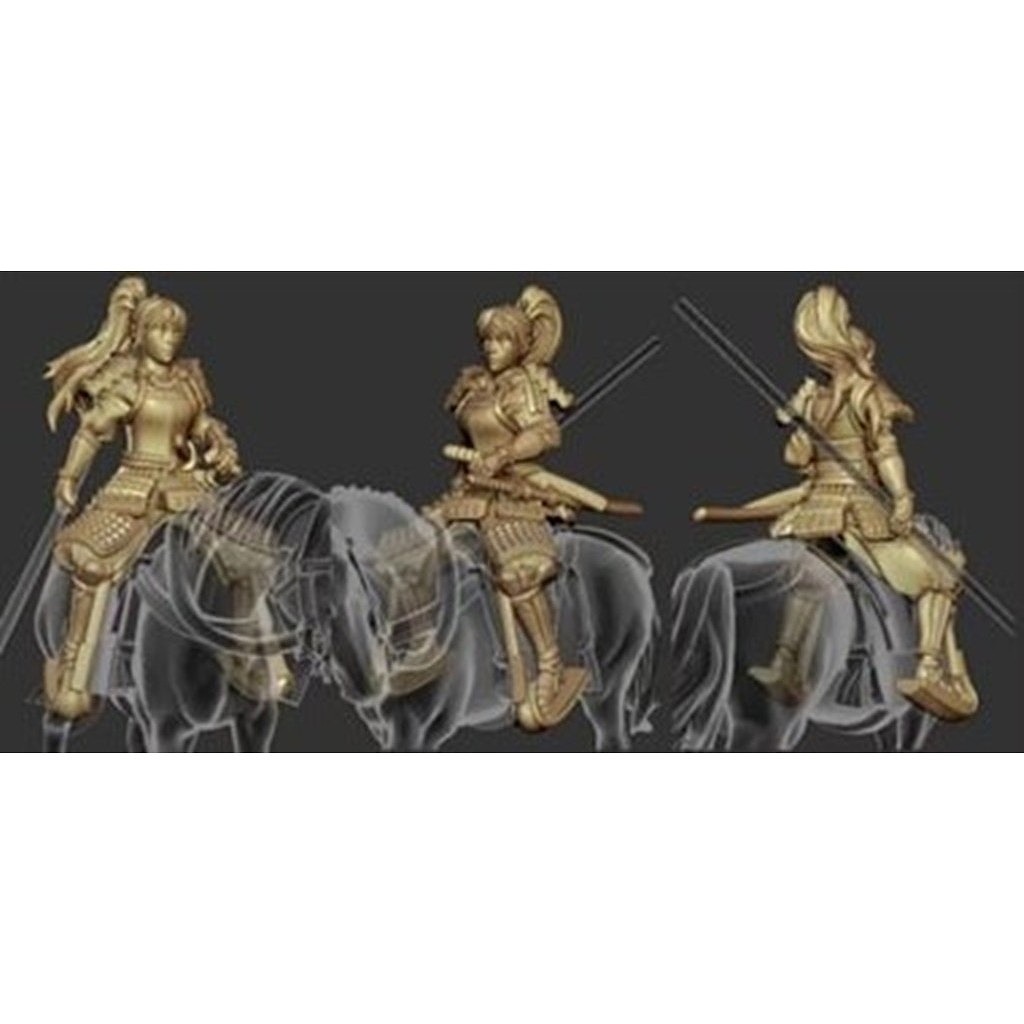 �ڿ����ʡ�AH88019 Mr & Mrs History 1/72 ������(����) ɱ��