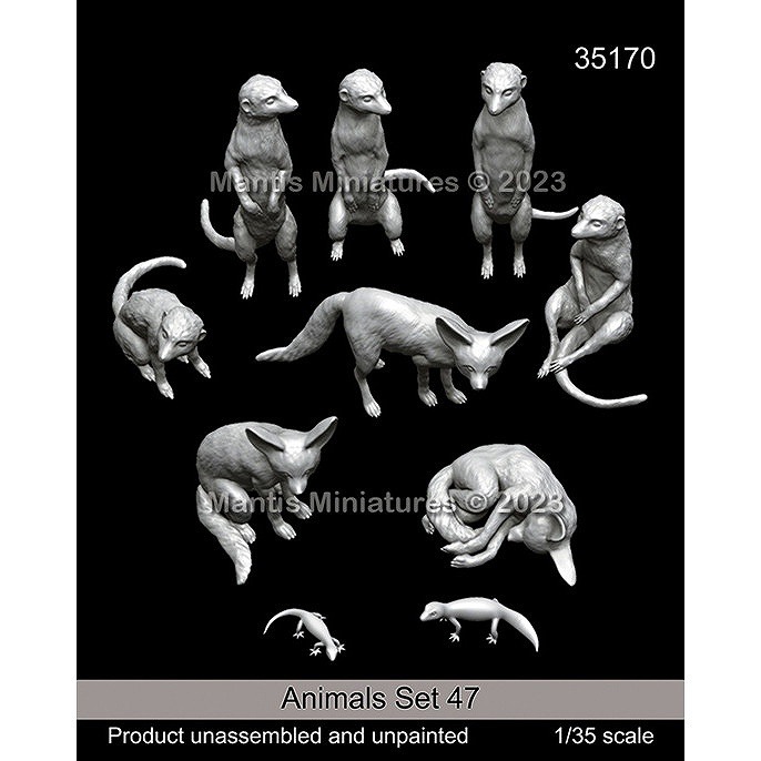 1_000000111545.jpg?1706179235