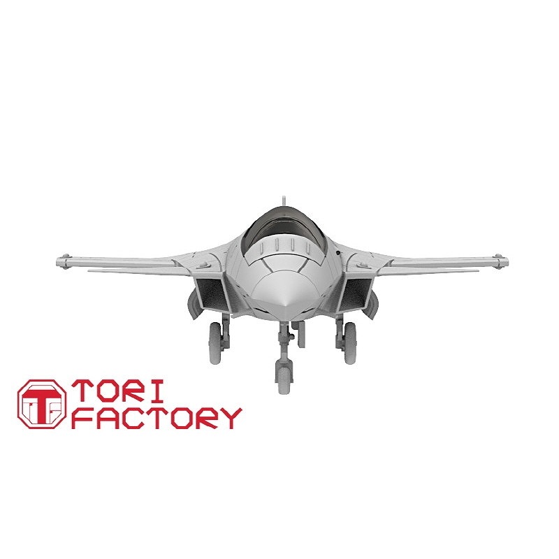 TF-A07 1/144 現用 アメリカ NASA X-36 無人機動研究機 | トリ