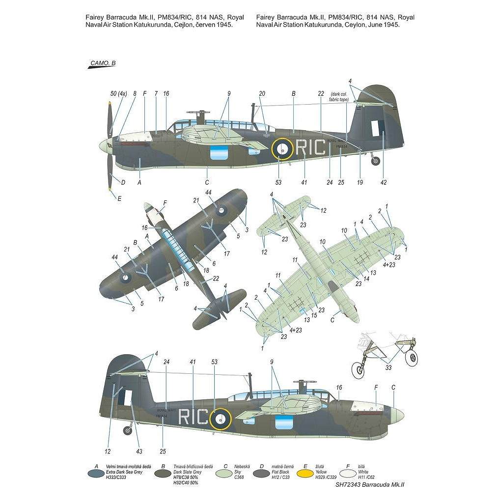 SH72343 �ե����꡼ �Х饯���� Mk.II ����ʿ�δ���Ҷ����