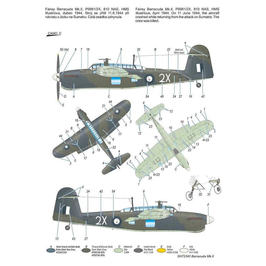 SH72343 �ե����꡼ �Х饯���� Mk.II ����ʿ�δ���Ҷ����