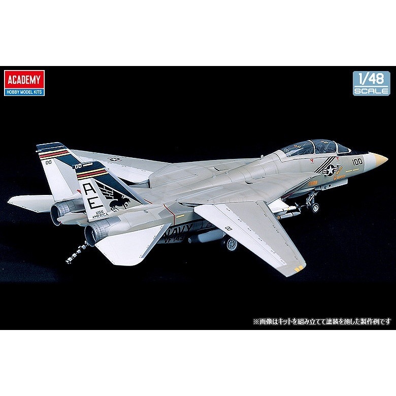 12253 1/48 ����ޥ� F-14A �ȥ७��å� ��143��Ʈ����������