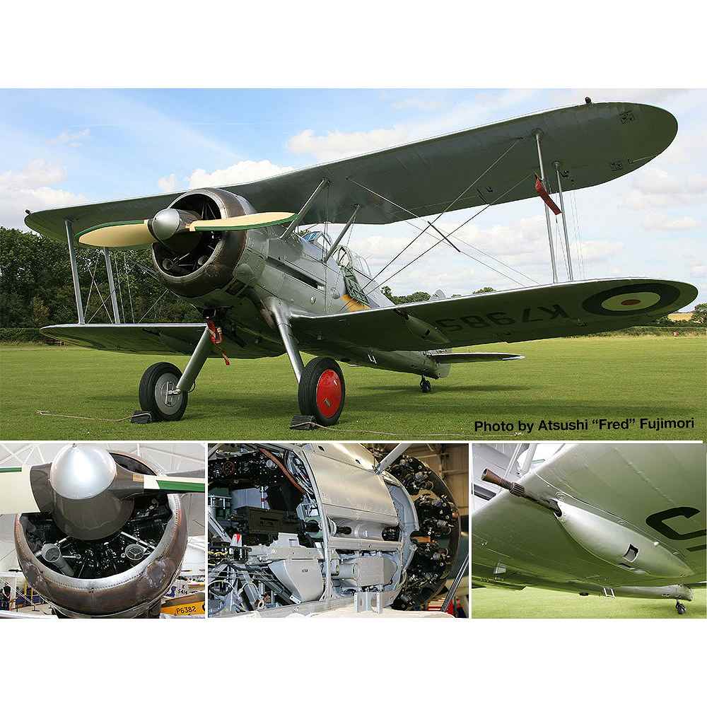 ���ߥ�˥塼�� Vol.673 2025ǯ6���