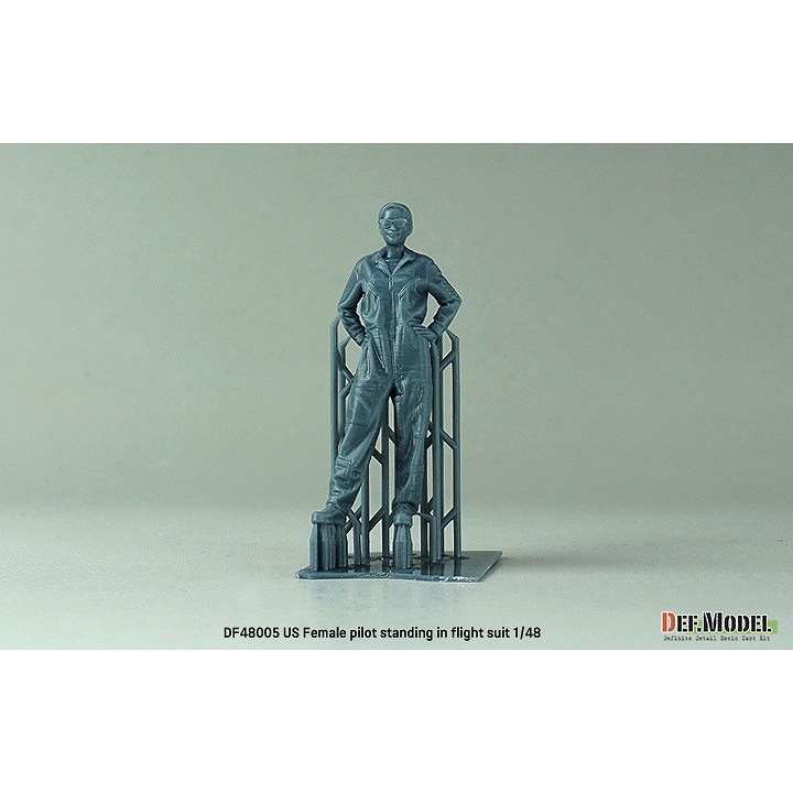 DF48005 1/48 ���� ����ꥫ �����ѥ����å� �ե饤�ȥ����� Ω���ݡ��� �ڥͥ��ݥ����ʳ���