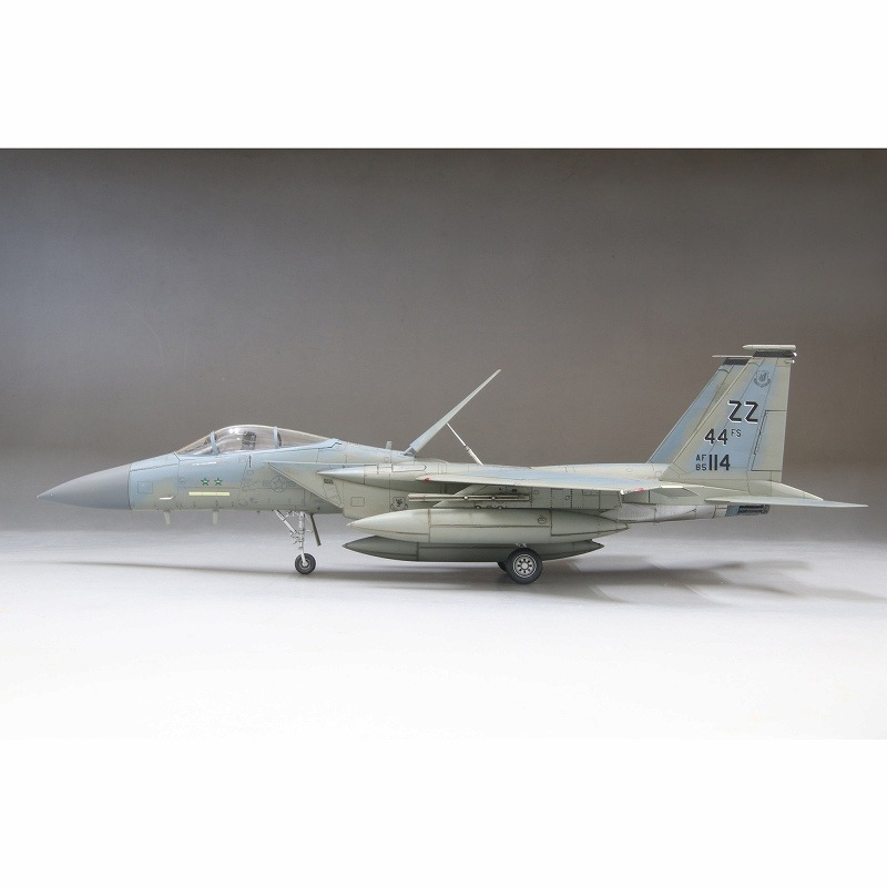 72954 アメリカ空軍 F-15C イーグル 戦闘機 “嘉手納