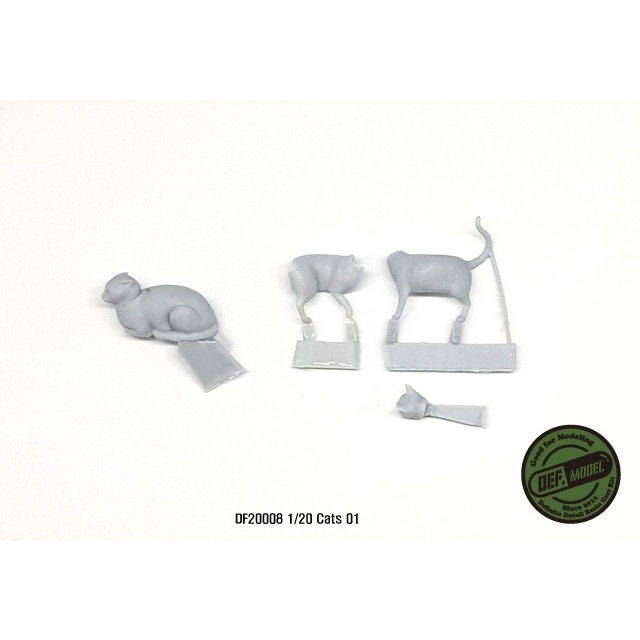 DF20008 �ͥ� 1 �ɡ��ɡ�&�ʥ�