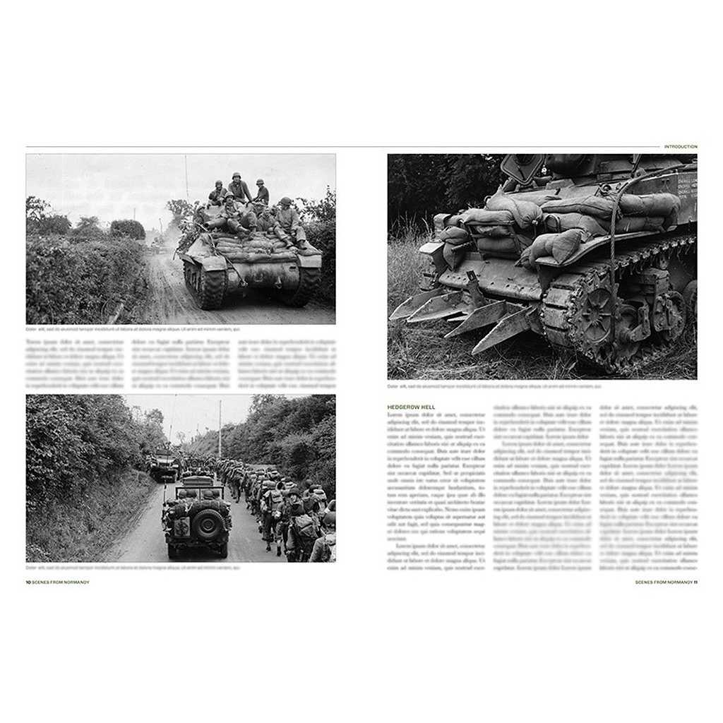 ��ͽ��������Normandy �Υ�ޥ�ǥ����ξ�� Ϣ�緳/�ɥ��ķ�