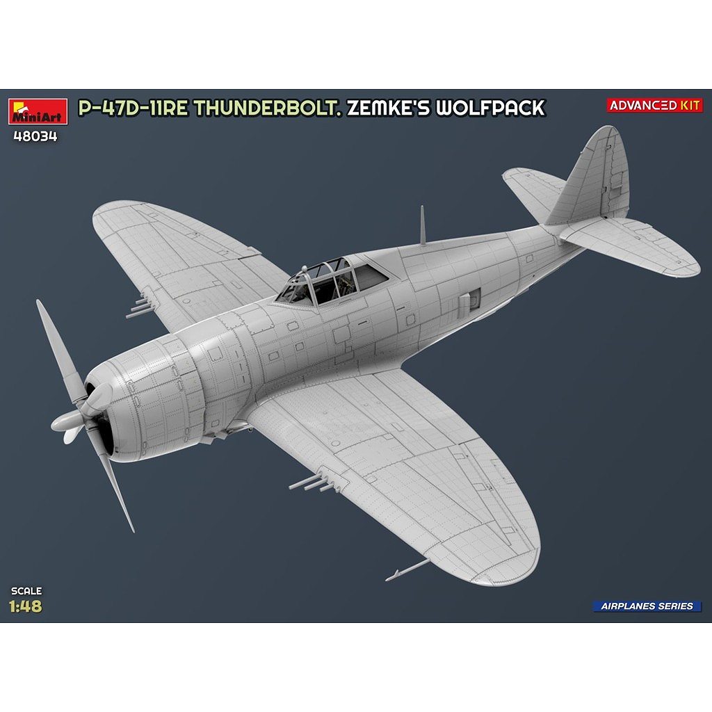 サンダーボルト　ホロ　4枚セット 新製品】48034 1/48 P-47D-11RE サンダーボルト ゼムケ ウルフパック