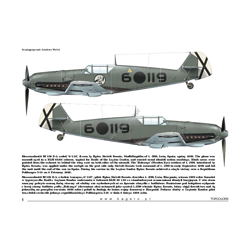 TOPCOLORS 15048 メッサーシュミット Bf109 インコンバット