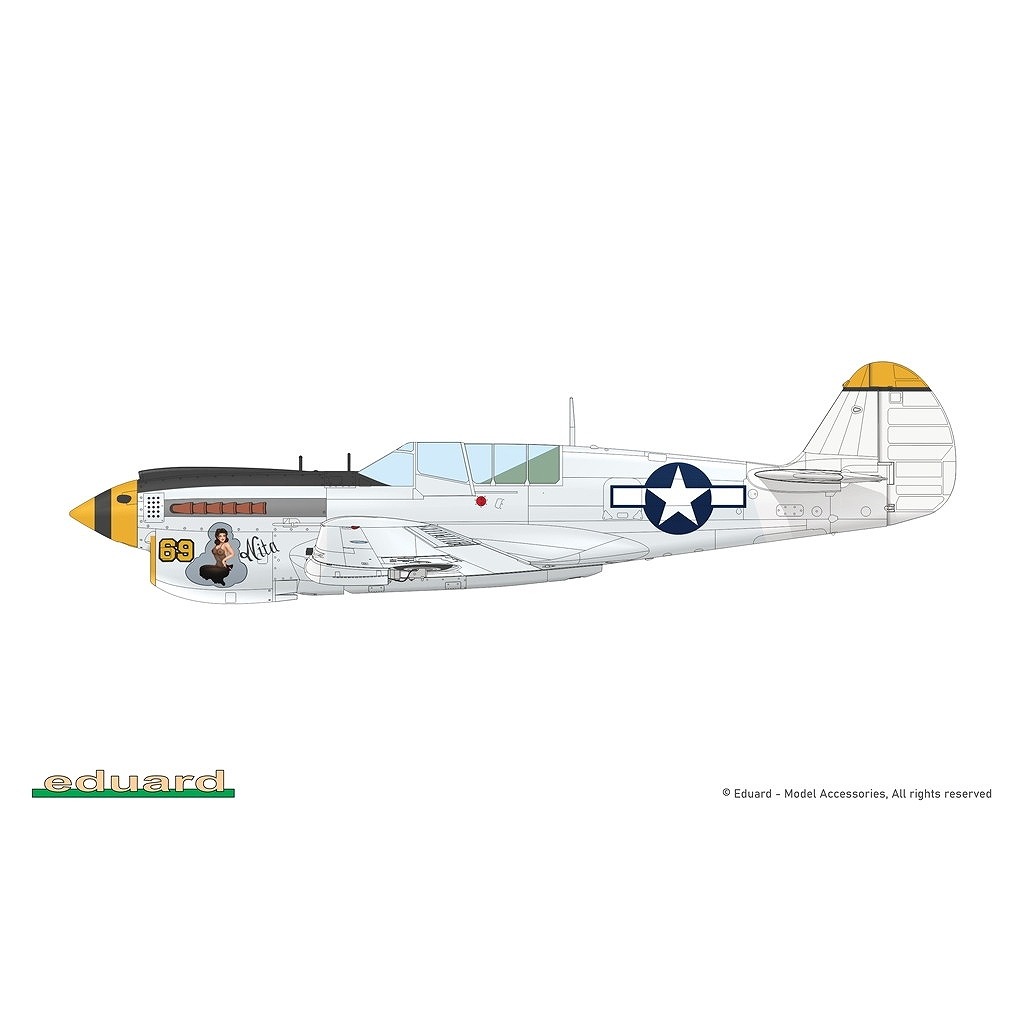 R0025 1/48 �������� P-40N �������ۡ��� �ǥ奢�륳��� ������륯�饹
