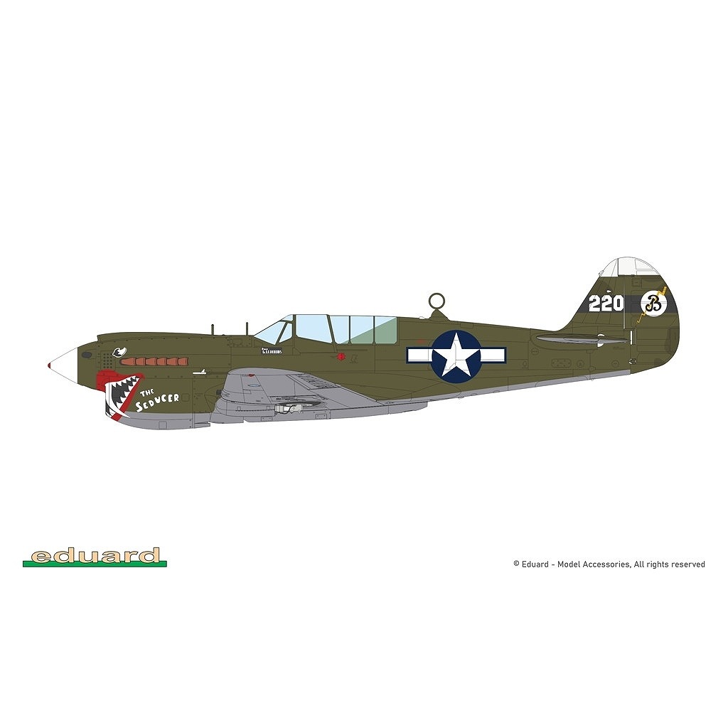 R0025 1/48 �������� P-40N �������ۡ��� �ǥ奢�륳��� ������륯�饹