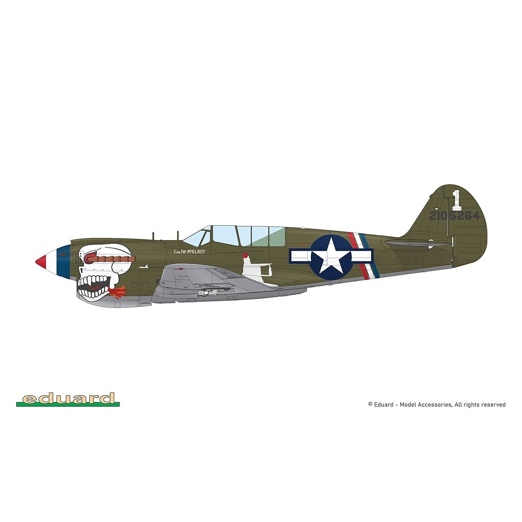 R0025 1/48 �������� P-40N �������ۡ��� �ǥ奢�륳��� ������륯�饹