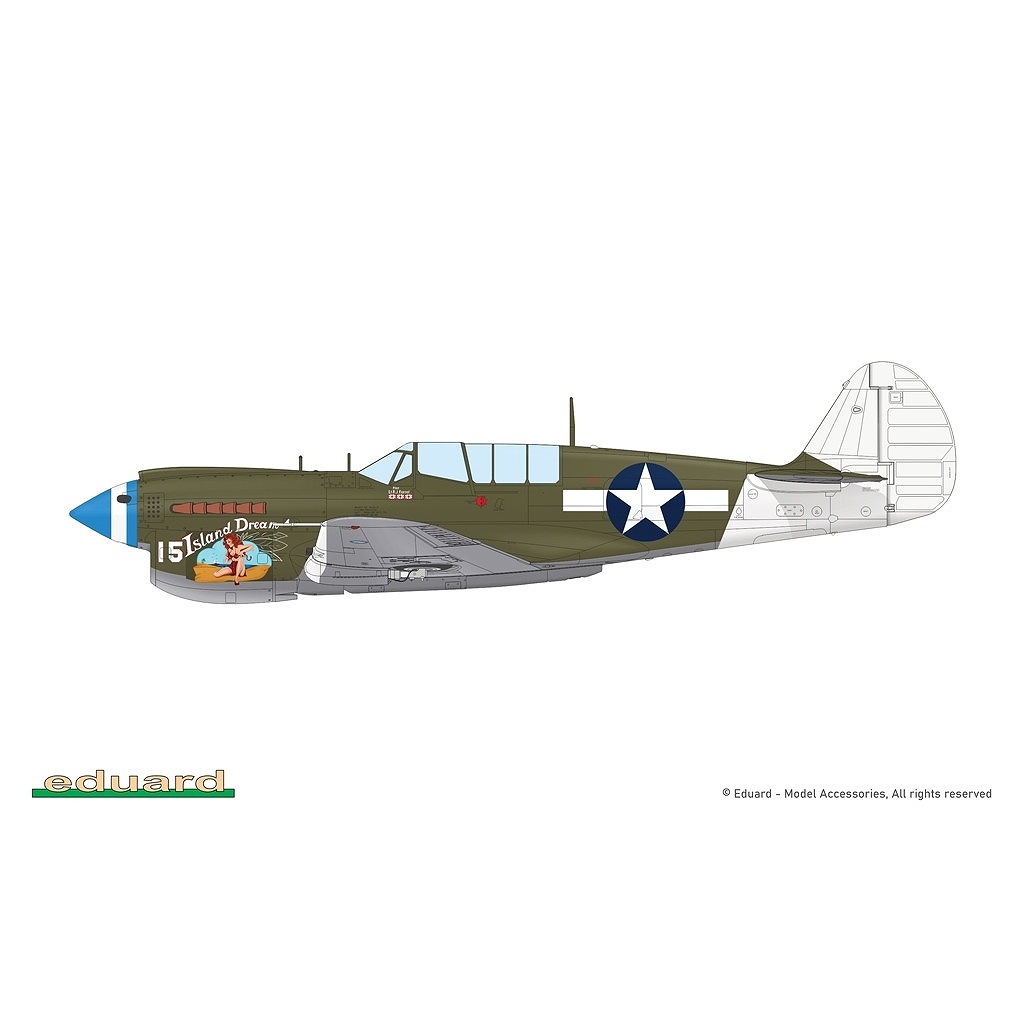 R0025 1/48 �������� P-40N �������ۡ��� �ǥ奢�륳��� ������륯�饹
