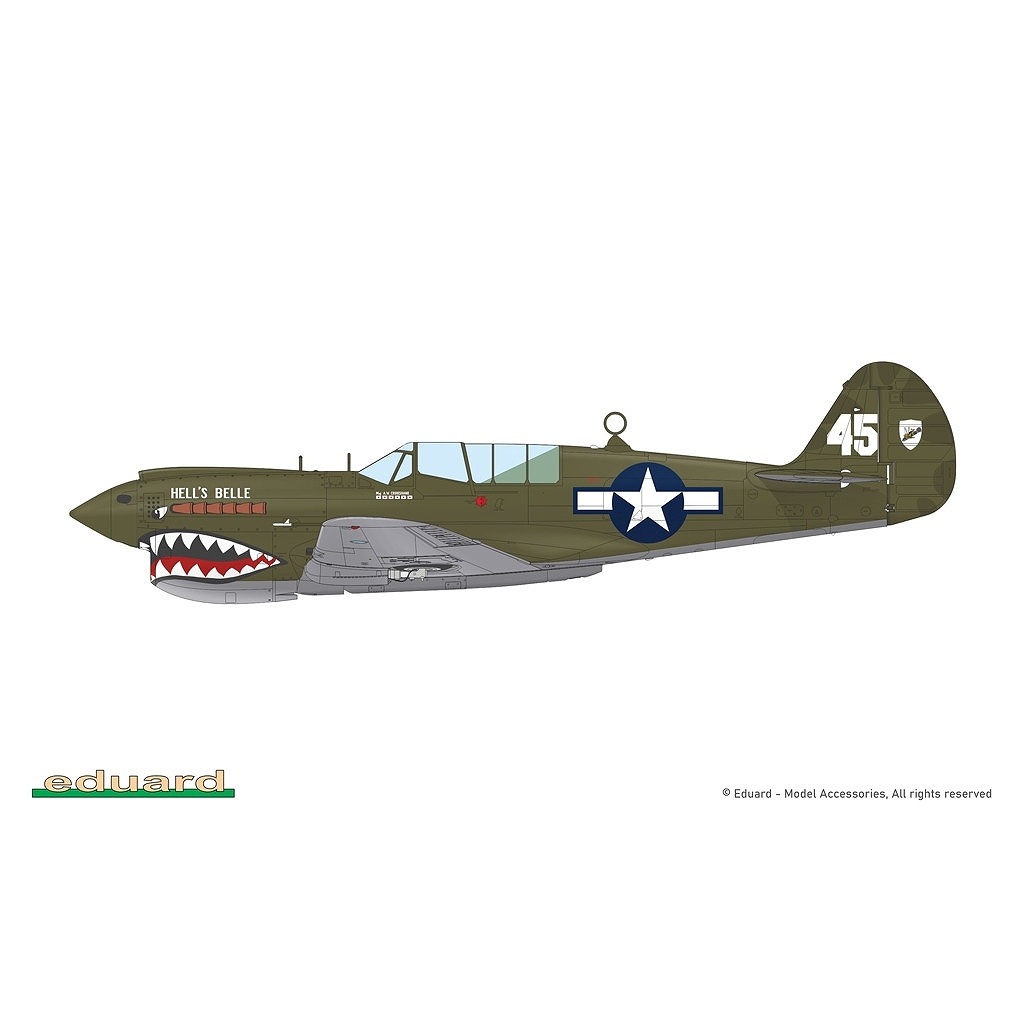 R0025 1/48 �������� P-40N �������ۡ��� �ǥ奢�륳��� ������륯�饹