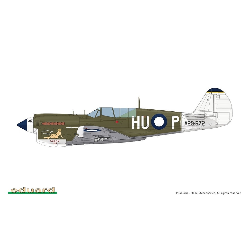 R0025 1/48 �������� P-40N �������ۡ��� �ǥ奢�륳��� ������륯�饹