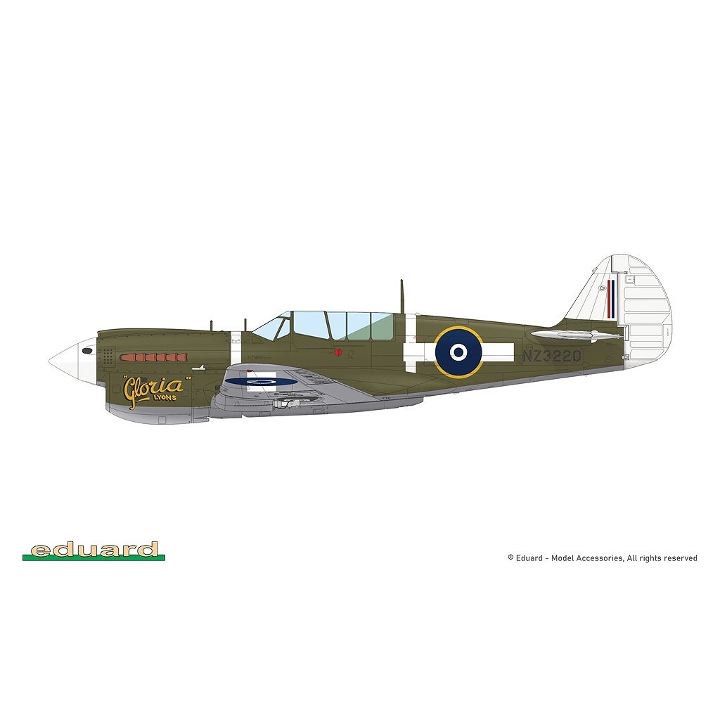R0025 1/48 �������� P-40N �������ۡ��� �ǥ奢�륳��� ������륯�饹