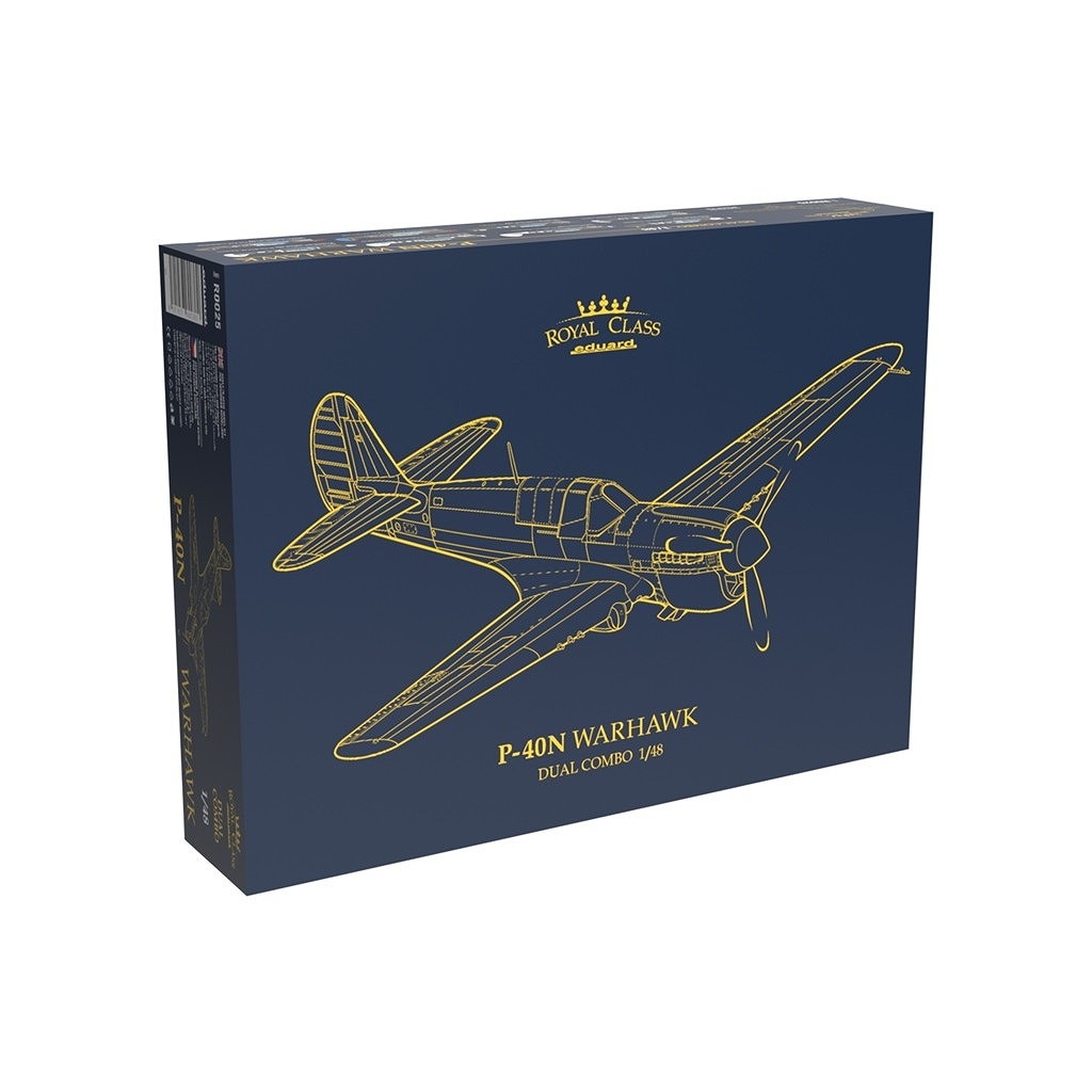 R0025 1/48 �������� P-40N �������ۡ��� �ǥ奢�륳��� ������륯�饹