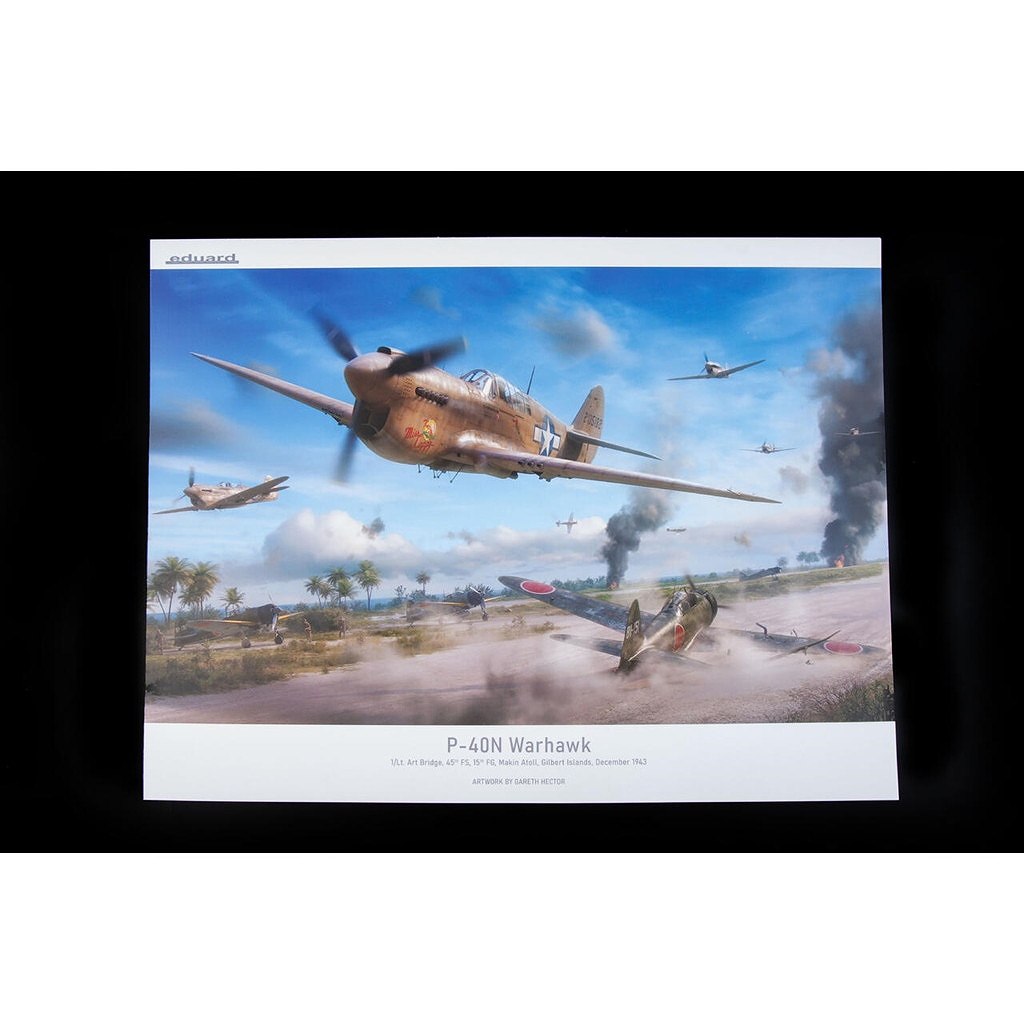 R0025 1/48 �������� P-40N �������ۡ��� �ǥ奢�륳��� ������륯�饹