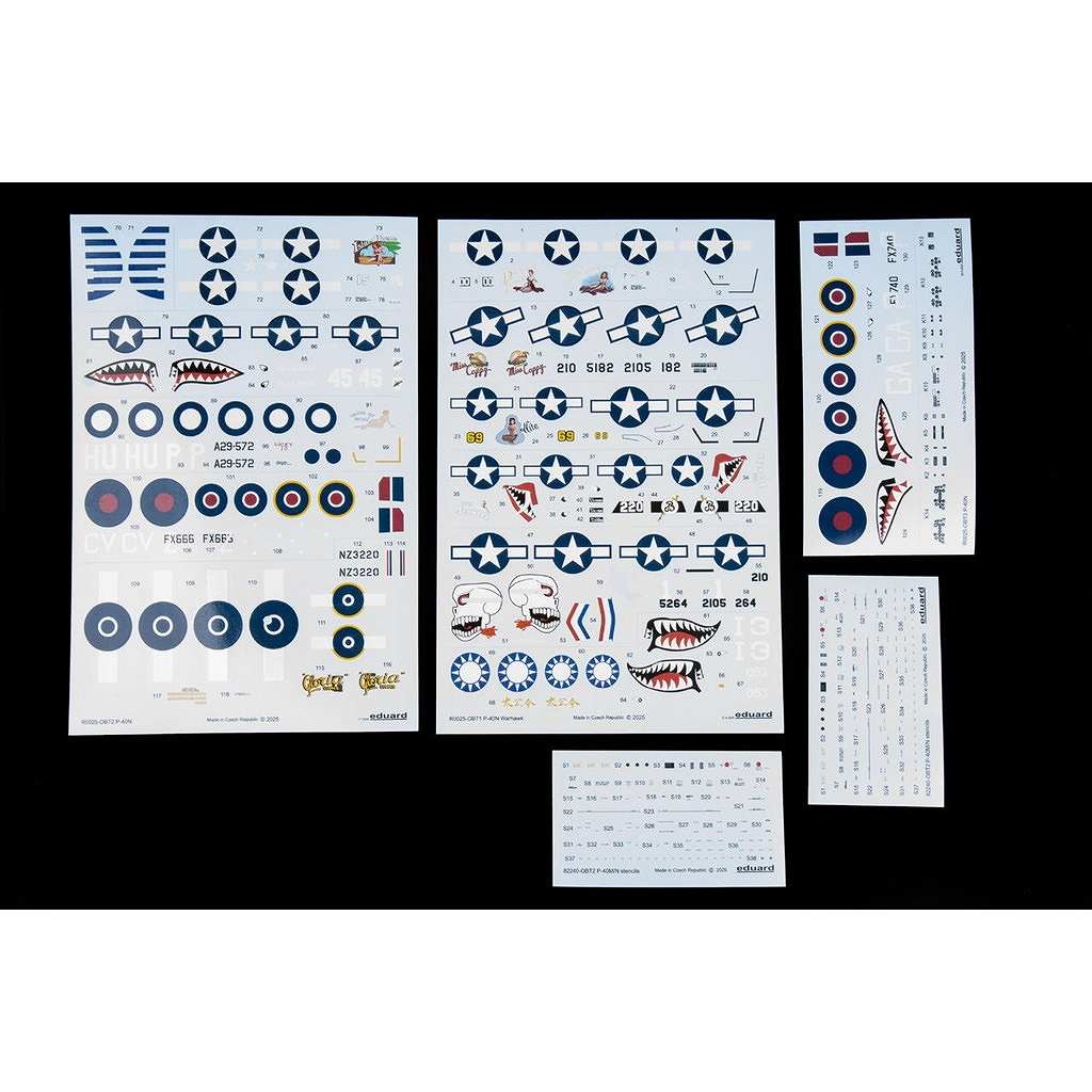 R0025 1/48 �������� P-40N �������ۡ��� �ǥ奢�륳��� ������륯�饹