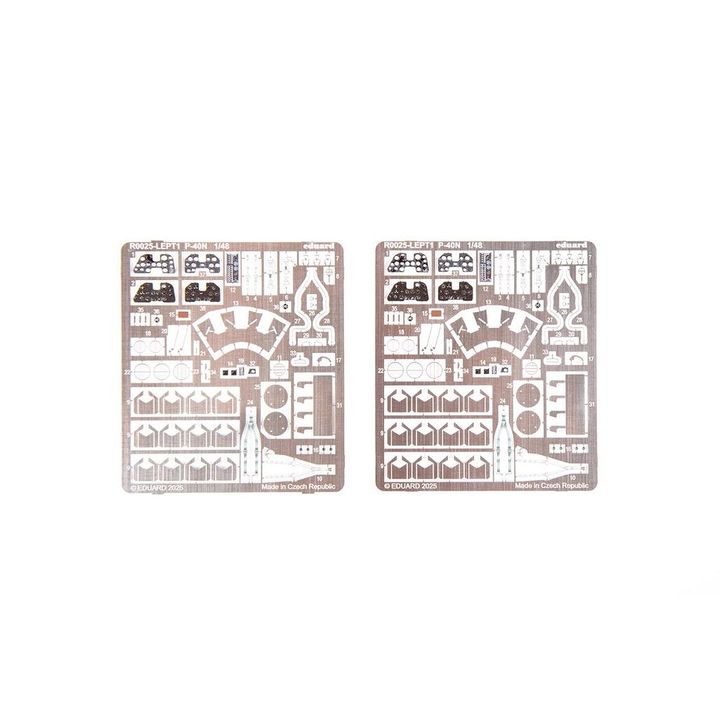 R0025 1/48 �������� P-40N �������ۡ��� �ǥ奢�륳��� ������륯�饹