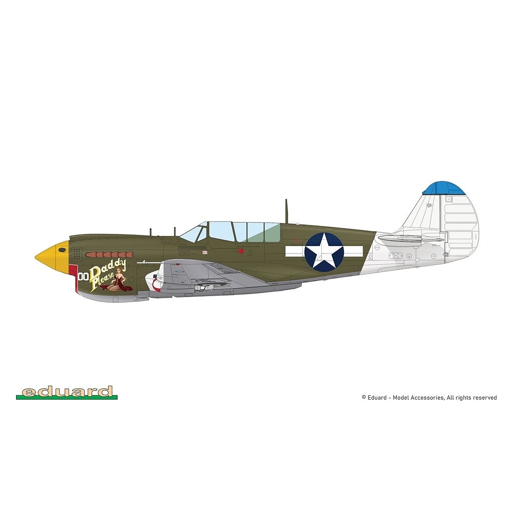 R0025 1/48 �������� P-40N �������ۡ��� �ǥ奢�륳��� ������륯�饹