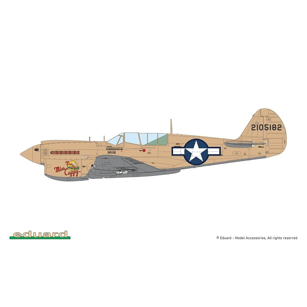 R0025 1/48 �������� P-40N �������ۡ��� �ǥ奢�륳��� ������륯�饹
