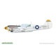 R0025 1/48 �������� P-40N �������ۡ��� �ǥ奢�륳��� ������륯�饹