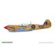 R0025 1/48 �������� P-40N �������ۡ��� �ǥ奢�륳��� ������륯�饹