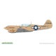 R0025 1/48 �������� P-40N �������ۡ��� �ǥ奢�륳��� ������륯�饹