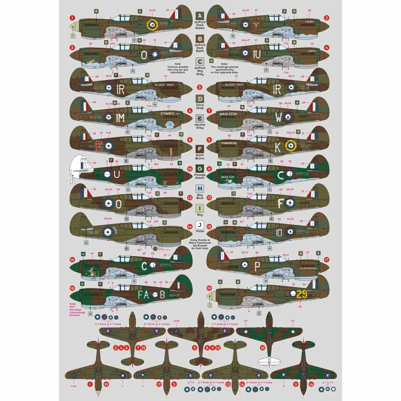DK�ǥ����� 72049 �������� P-40E ���ƥ��ۡ��� �������ȥ�ꥢ����