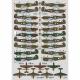 DK�ǥ����� 72049 �������� P-40E ���ƥ��ۡ��� �������ȥ�ꥢ����