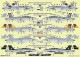 51-4275 1/48 ����ꥫ��ʼ�� F/A-18C/D �ۡ��ͥå� VMFA-312 �����å����ܡ��� ������