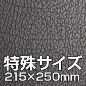 カメラ張り革4309-6ポラロイドタイプ　215×250ミリ（特殊サイズ）