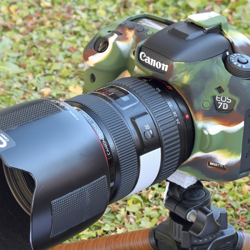 �����������С� Canon EOS 7D Mark2 �ѡ�����ե顼����