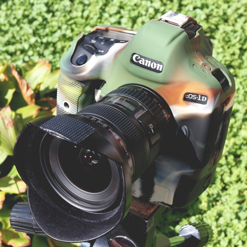 �����������С� Canon EOS-1D X Mark III �� ����ե顼���塡�վ��ݸ�ե������°