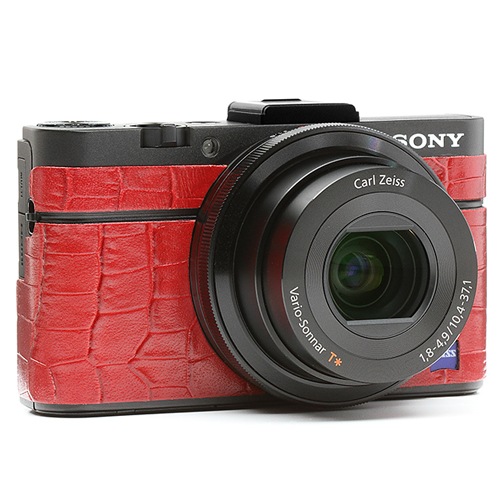 ���ˡ�Cyber Shot RX-100MII��ĥ��ץ��å� 8020����������å�