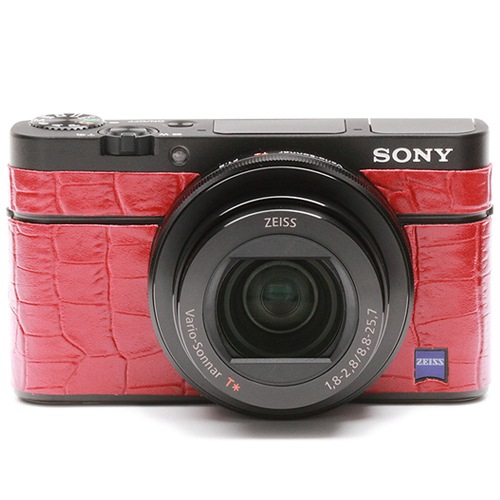 ˡCyber Shot RX-100M3ĥץå 8020 å