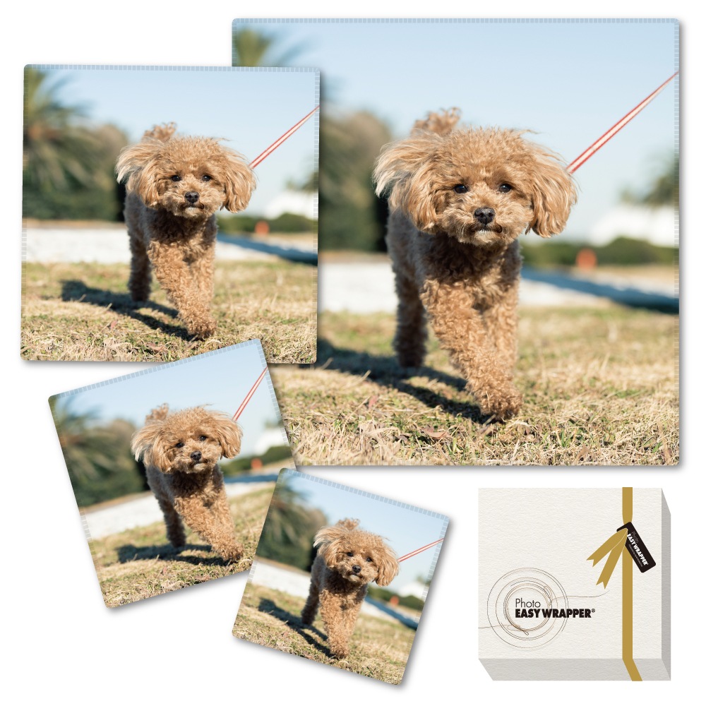 [���ʤ��μ̿��Ǻ��]���ꥸ�ʥ�ե��ȥ���������åѡ�