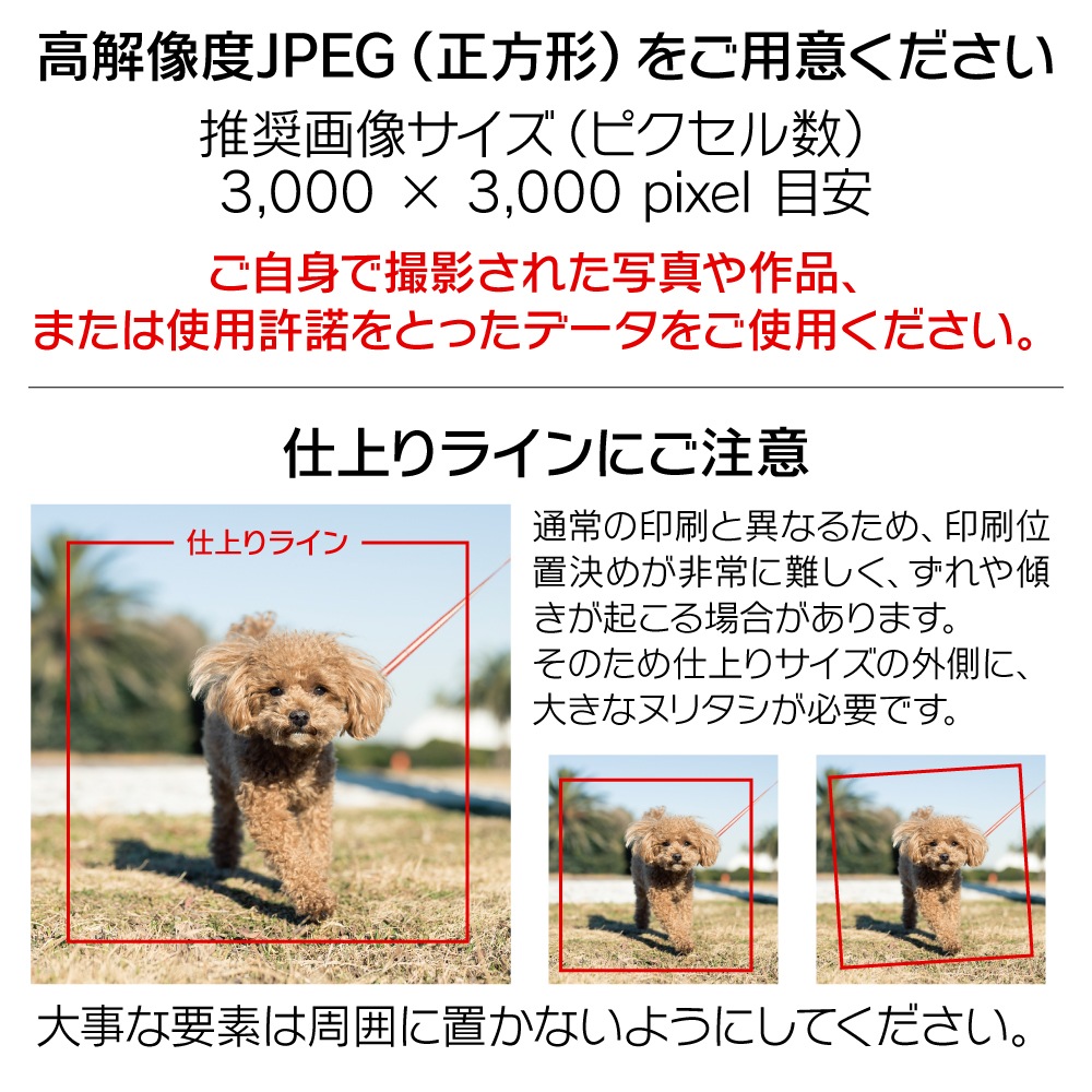 [���ʤ��μ̿��Ǻ��]���ꥸ�ʥ�ե��ȥ���������åѡ�