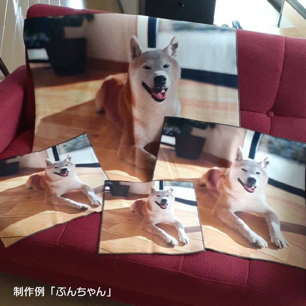 [���ʤ��μ̿��Ǻ��]���ꥸ�ʥ�ե��ȥ���������åѡ�