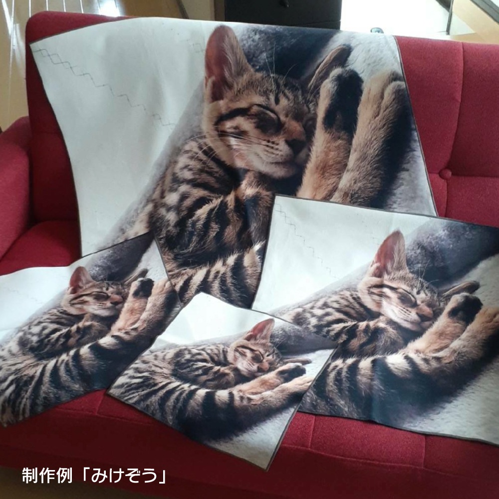 [���ʤ��μ̿��Ǻ��]���ꥸ�ʥ�ե��ȥ���������åѡ�