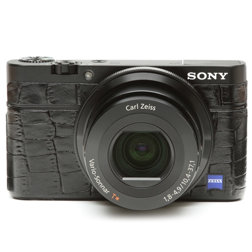 ���ˡ���Cyber Shot RX-100 ��Ž��ץ��å� �������֥�å�