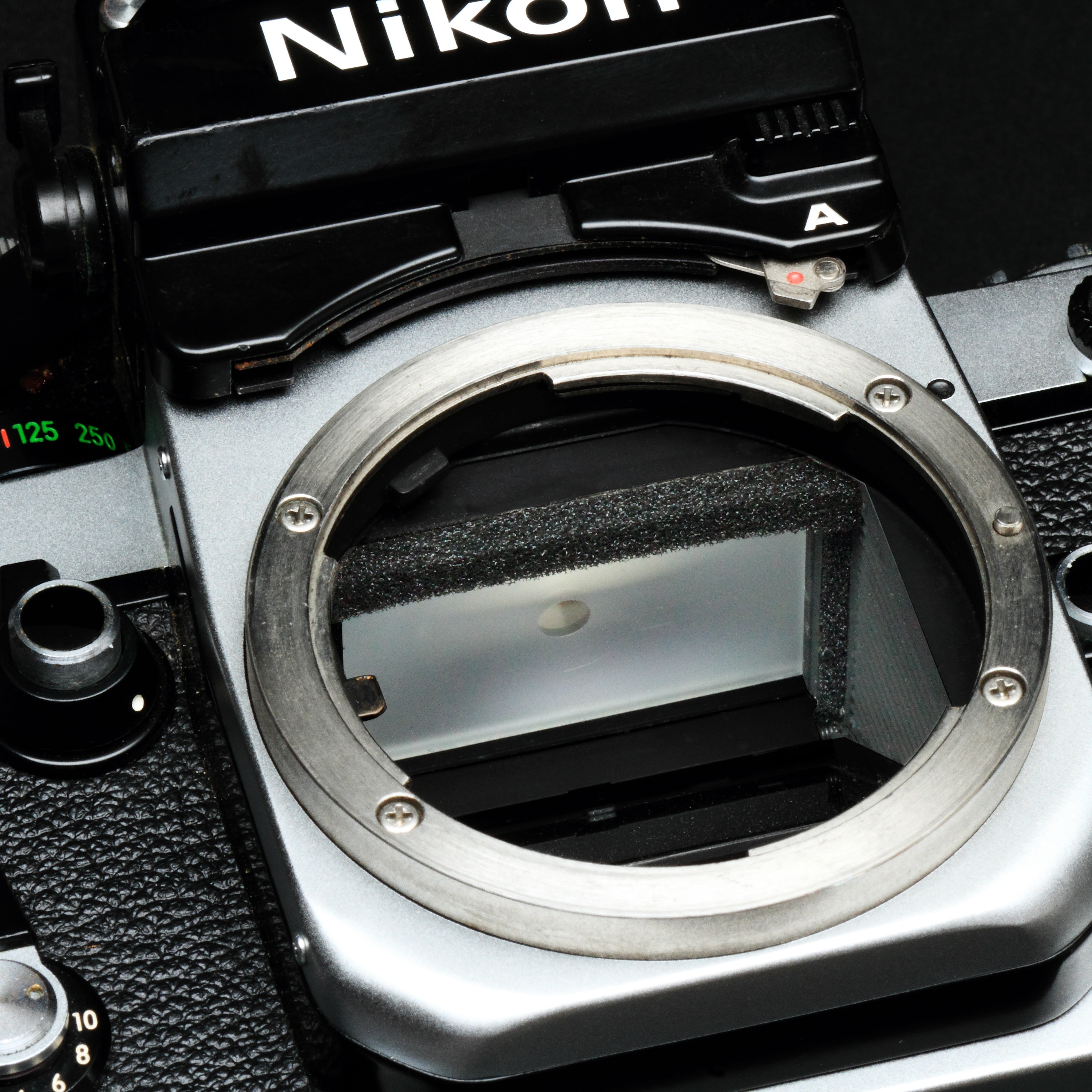 ���������ȿ���ɻߥե����ࡡ�Τ��դ���Ƚ��2.5�ߥ�ʸ��ߡˡ�500x500���礭����